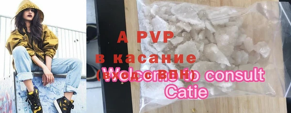 ПСИЛОЦИБИНОВЫЕ ГРИБЫ Ладушкин