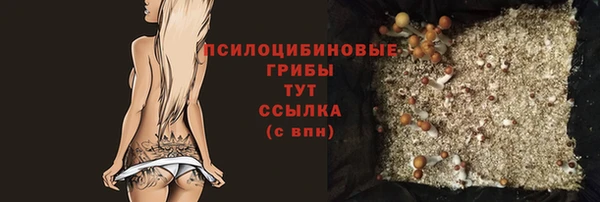 a pvp Лагань