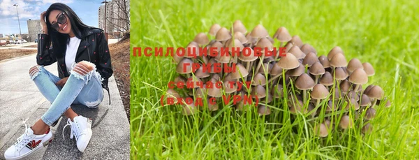 соль ск Алексин