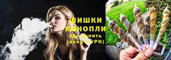 ПСИЛОЦИБИНОВЫЕ ГРИБЫ Ладушкин