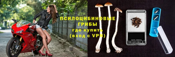 эйфоретик Алзамай
