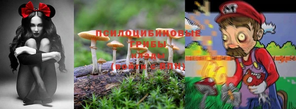 сатива Лихославль