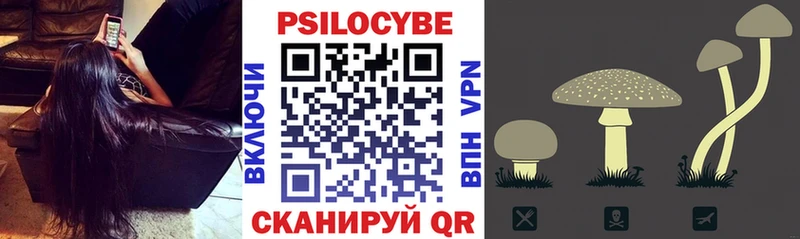 Псилоцибиновые грибы Magic Shrooms  darknet формула  Ленинск-Кузнецкий 