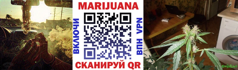 МАРИХУАНА SATIVA & INDICA  где можно купить наркотик  Ленинск-Кузнецкий 